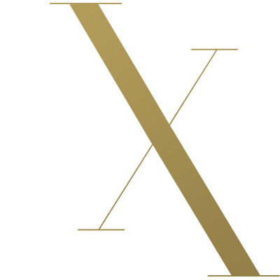 Logo X